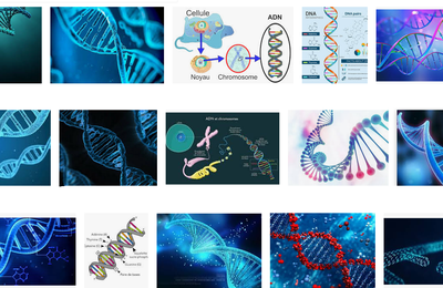 De l'ADN dans votre ordinateur !