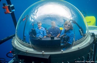 #STARTUP #DEEPTECH #OCEAN #MENTORAT #FRANCESTARTUPOCEANS : LE PROJET #48 MISSIONBLUE