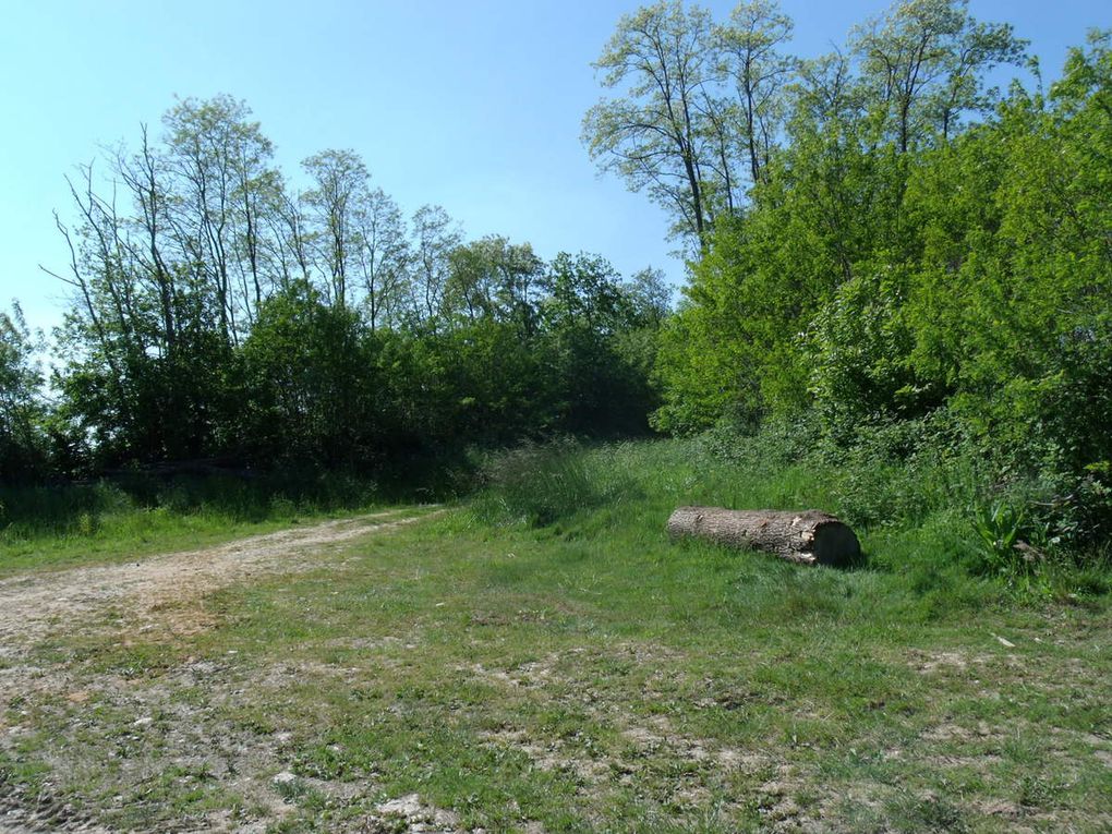 De la petite à la grande Haie