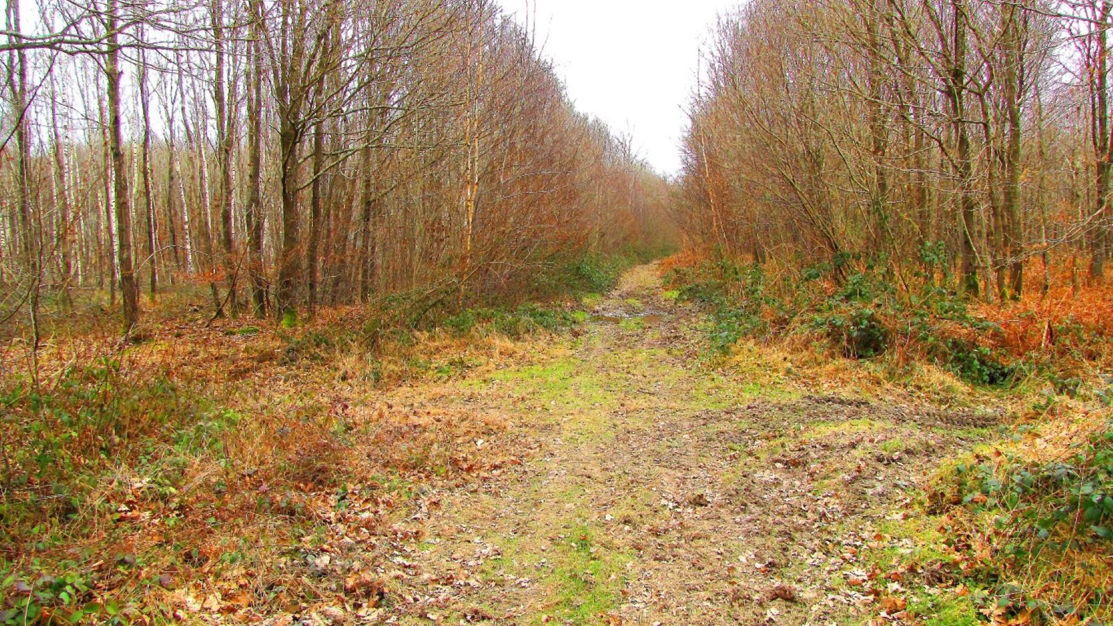 le GR11 en Forêt de Retz et le long du Canal de L'Ourcq
