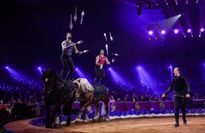 Palmarès du 46ème Festival International du Cirque de Monte Carlo.