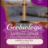 Bordeaux/33 Gironde/Formation/Géobiologie/Antenne Lecher: Détection perturbation