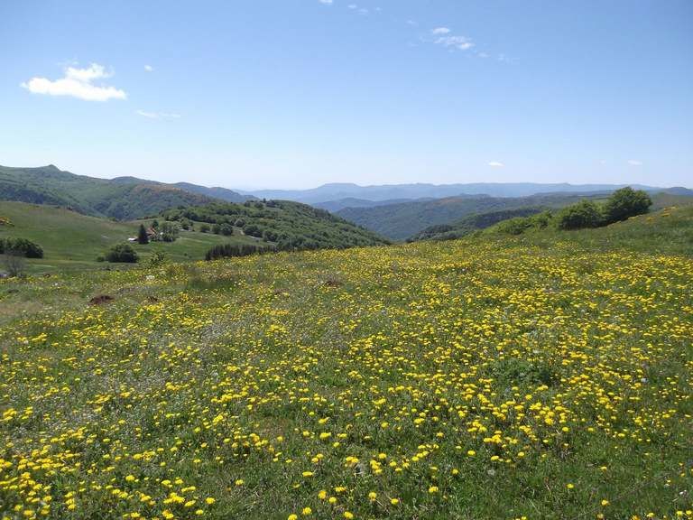 album Saint-agrève 2014