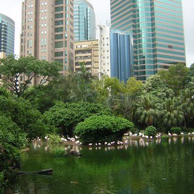 Nos adieux à Hong Kong