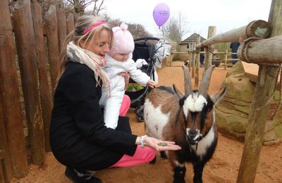 At the Zoo - One year