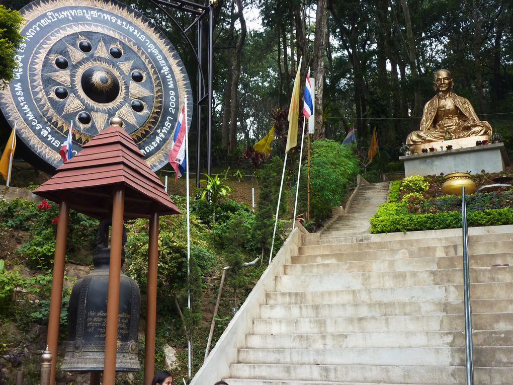 Depart pour le Nord Thailande.
Escale "obligee" a Chiang Mai. Visie de temples, nombreux dans la vieille ville. Training d'elephants.- Pai reggae fest