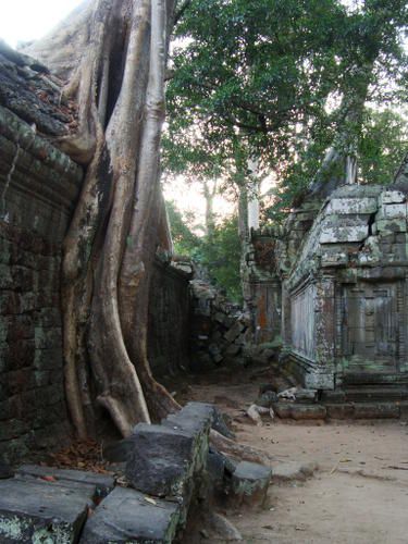 STUNG TRENG
BANLUNG
KRATIE
ALONG VENG . temple du Preah Vihar
SIEM REAP . temples ANGKOR
...