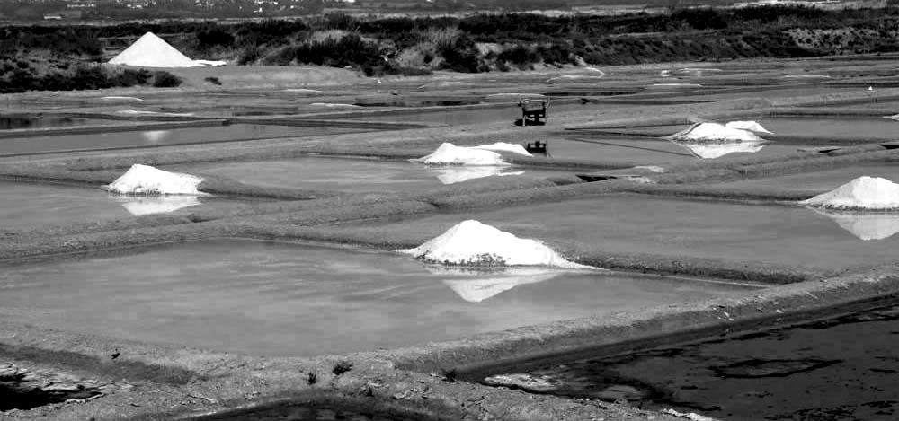 Album - Les Marais-salants de Guerande en noir et blanc