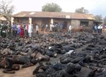 la dépendance des médias: le cas des massacres de chrétiens au Nigéria