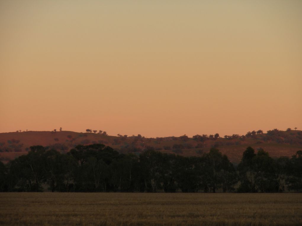 Une journée passée dans les Flinders Ranges, parc naturel de South Australia