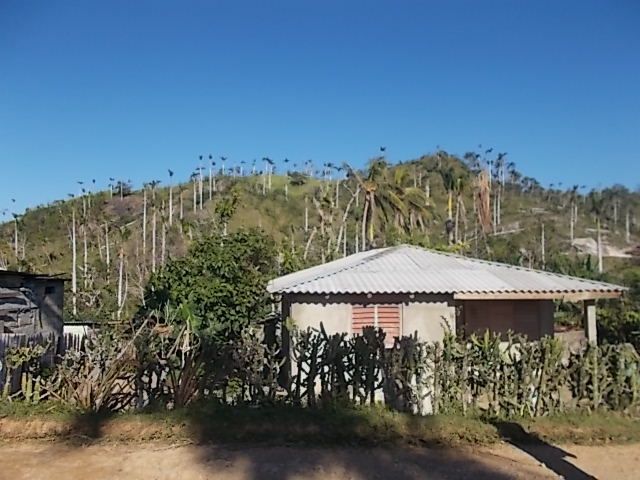 en allant ver s le rio Yumuri, baie Mata, les polymitas, visite exploitation artisanale de cacao