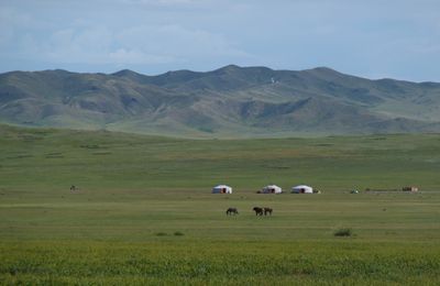 (MNG) Un petit treck en Mongolie...