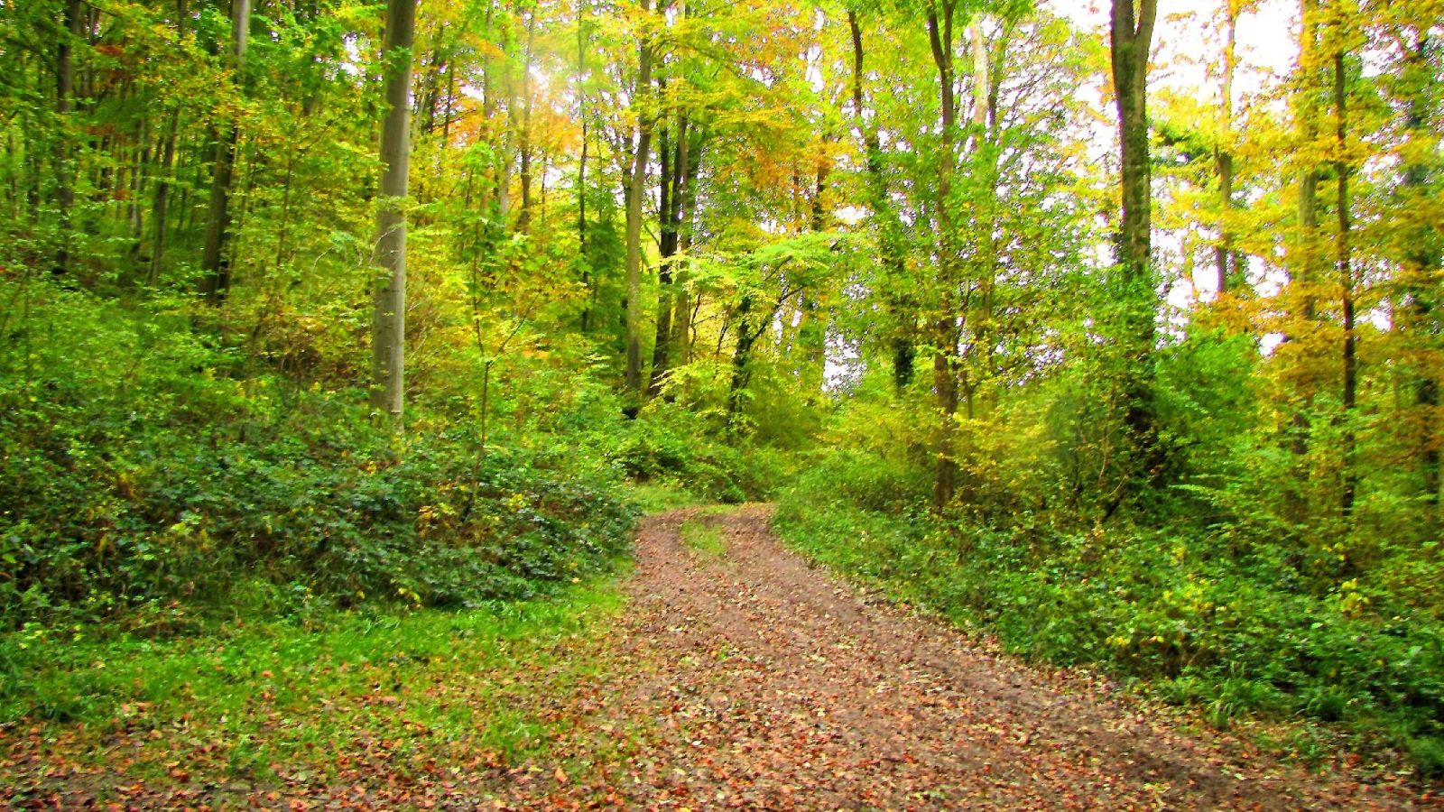 la Promenade de la Ramée