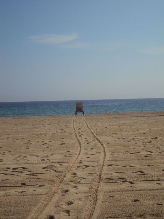 Voyage fabuleux et surnaturel dans la République du Kon Tiki... Village polynésien à 3km de St Tropez.
De notre hutte plantée sur la plage, à l'ombre des palmiers, nous avons vécu ces vacances de Pâques 2012 comme un rêve éveillé.