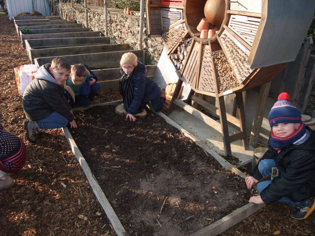 Jardin des 4 saisons - Les CP plantent des bulbes.