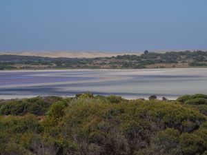 Le Coorong National Park : un vrai coup de coeur. 