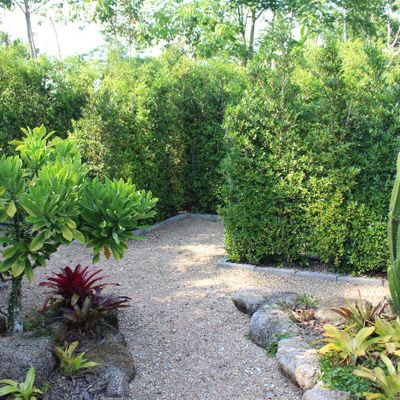 Khao Lak Updates - Labyrinth