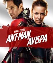  ✅✅ Ver Ant-Man y la Avispa Pelicula Completa nut Linea Espanol Latino,HD Pelicula on-line Latino