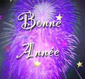 Bonne année 2010