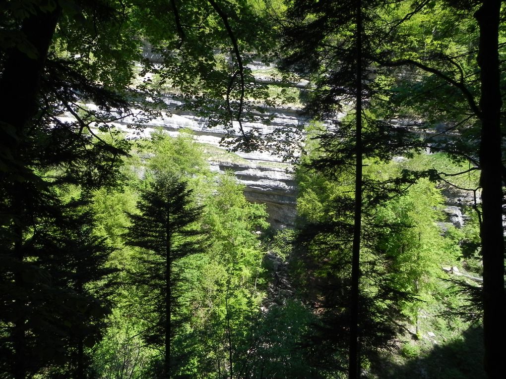 Album - L'intégrale des cascades du Hérisson