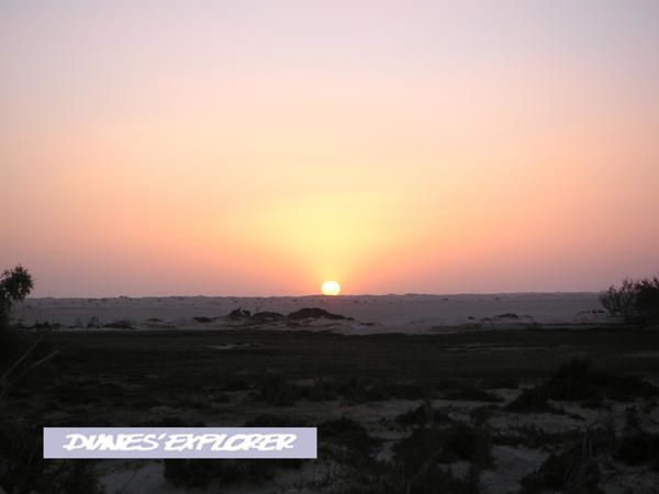 Découvrez les dunes du matin jusqu'aù soir, et surtout les merveilleux couchers de soleil offerts par le Sahara Tunisien!!