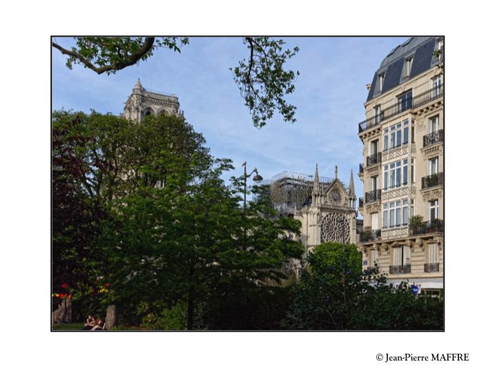 Une occasion de montrer les images que j'ai faites bien avant l'effondrement de la flèche de Viollet le Duc suivies de celles prises juste après l'incendie du 15 avril 2019.