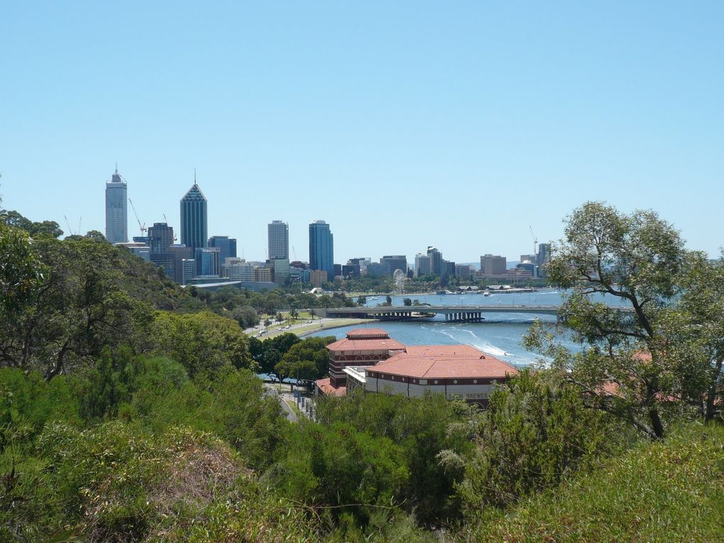 Album - Perth-et-Fremantle-et-environs-de-Perth--Swan-Valley-