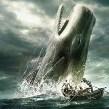 Moby Dick - Melville (extraits)