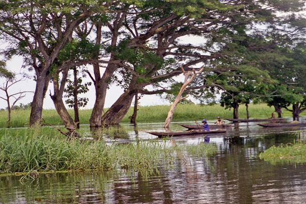 Album - PAPOUASIE-Nelle-GUINEE