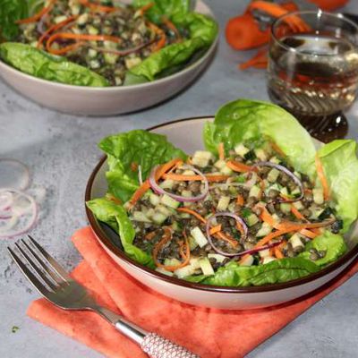 Salade de lentilles et ses légumes croquants 
