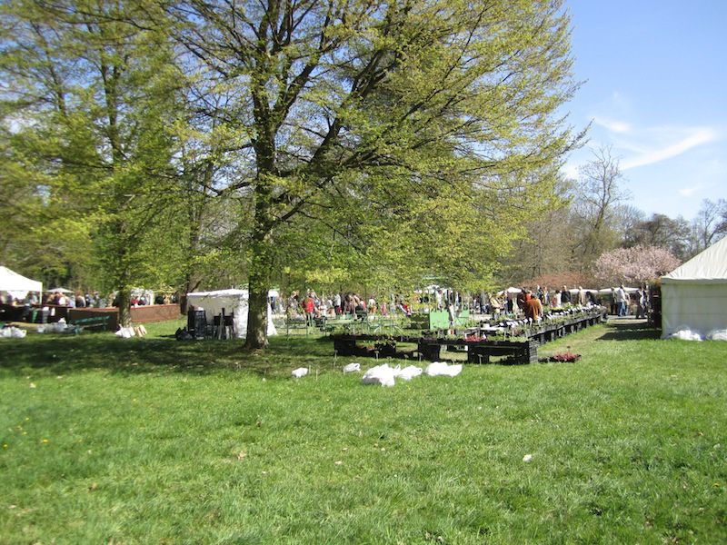 Fêtes des plantes vivaces
dimanche 1er avril 2012
OMTombarello