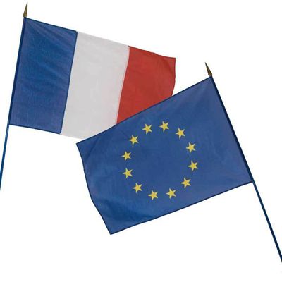 L’Assemblée vote la présence de drapeaux français et européen dans les salles de classe.