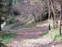 Pour rejoindre Planfait, quitter le chemin après le chalet des Crottes et prendre le sentier à droite (marques rouges sur le sol) puis encore à droite aux croisements suivants. Les panneaux indicateurs sont dans les arbres : lever la tête (photos 2 et 3)