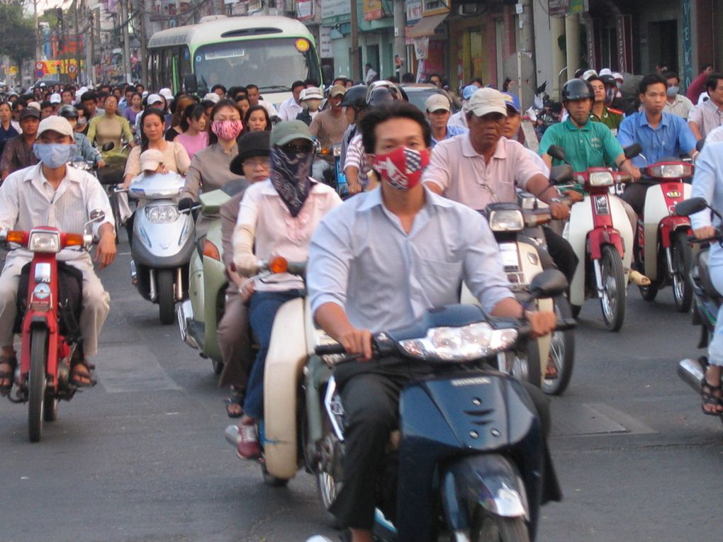 le viet nam est un pays très diversifié de part sa forme allongé et surtout côtier et nous pouvons toujours sentir une différence entre le nord et le sud