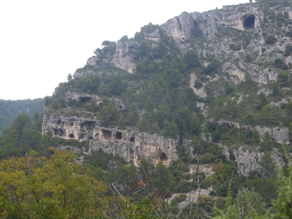 Saumane/ Fontaine de Vaucluse: Le 04 11 2018 Animateur: Patrick C