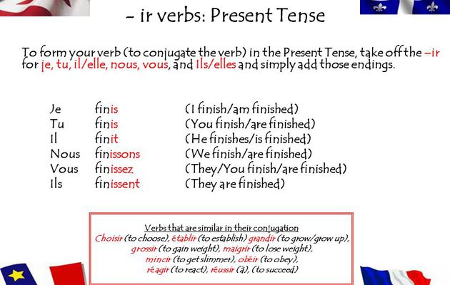 Past tense conjugation of maigrir