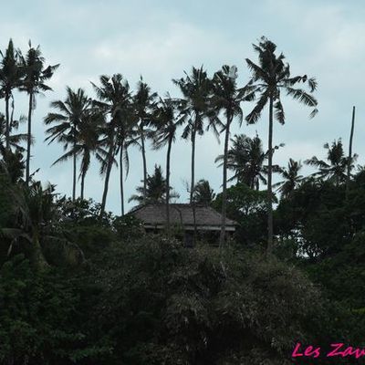 Bali : Toute la beauté du monde