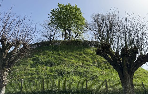 Trôo (41) - La motte cadastrale