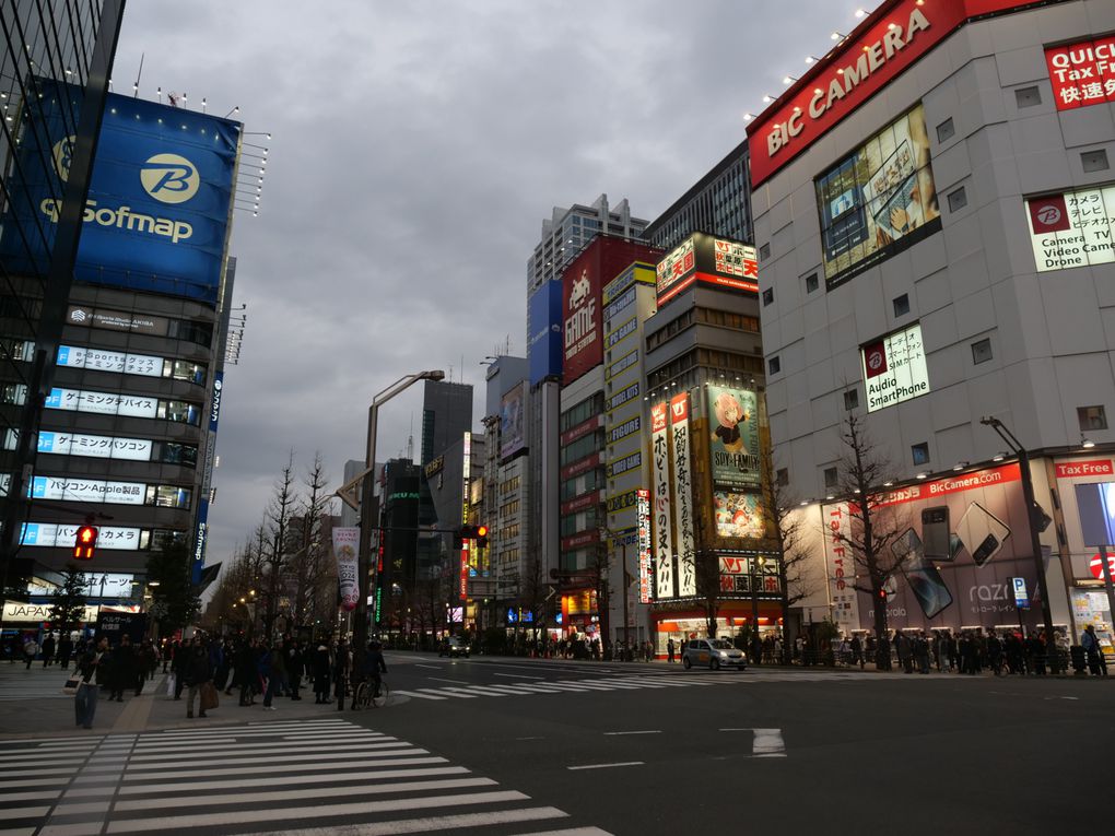 Les années passent, 9 ans déjà que j'ai vu pour la première fois Akiba et pourtant, sur ces 9 ans, j'ai vu le quartier changer, avec notamment la disparition notable du bâtiment Sega, remplacé par le GiGo...