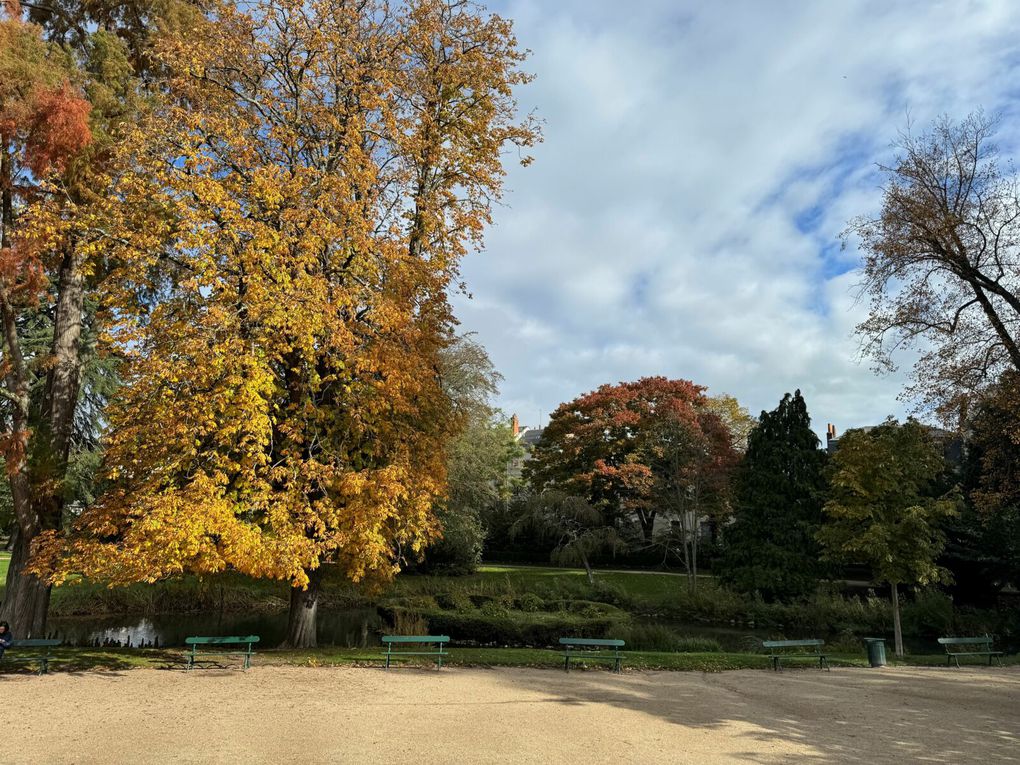 Visite de la ville de TOURS