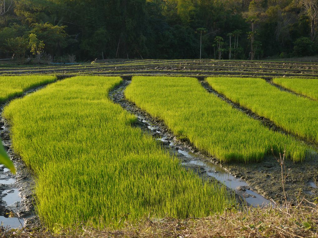 Album - Laos