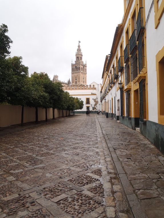 seville,4 jours pass'e là bas.Surment une ds plu beles viles que j'ai visité,où que l'on pose les yeux on en prend plein la vue.Le climat etait meilleur,ben qu'humide, ce qui m'aura permis de profiter de la ville au maximum.