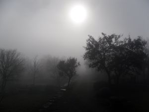 Brouillard de décembre 