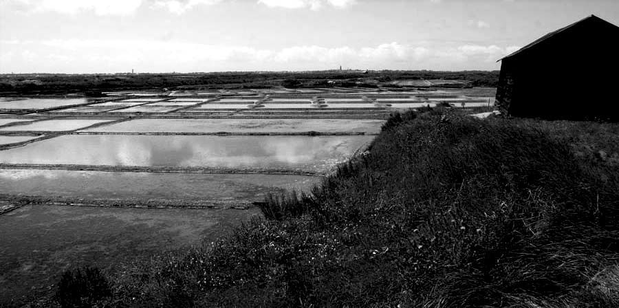 Album - Les Marais-salants de Guerande en noir et blanc