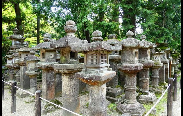 Photo : les lanternes du temple Kasuga Taisha