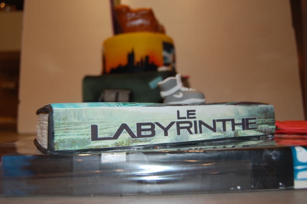 GATEAU D'ANNIVERSAIRE DECORE THEME FRIENDS / TEEN WOLF / RETOUR VERS LE FUTUR / LABYRINTHE
