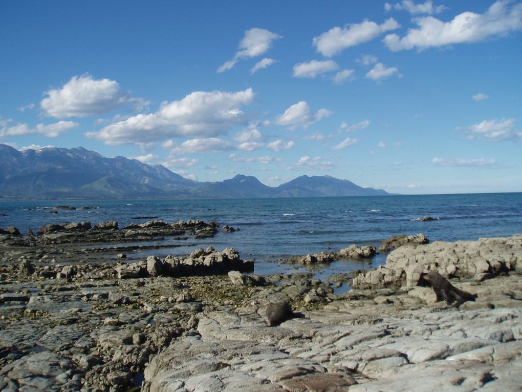 Album - 2009-12-13-New Zealand,Kaikoura