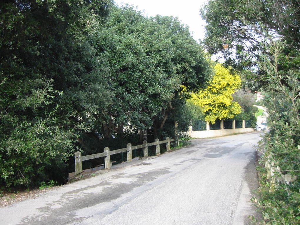 Quelques vues du tracé empruntant les pistes et chemein situés sur le domaine du conservatoire du littoral.