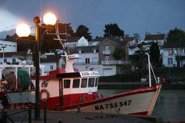 Quelques images de Bretagne au hasard de mes promenades, d&eacute;but d&eacute;cembre 2005