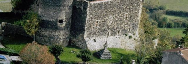 Château de Chalus.